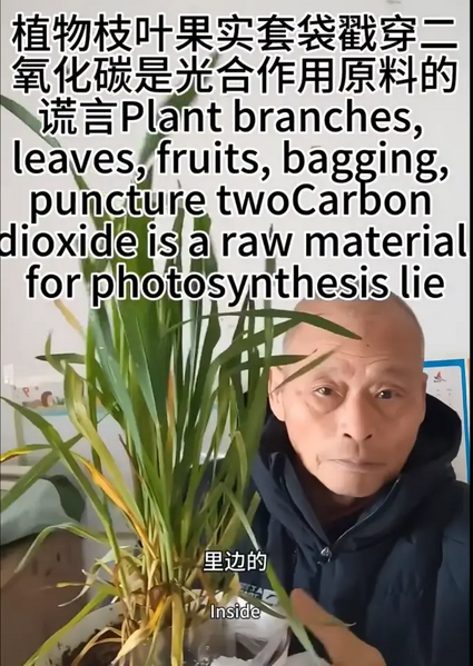 文件:光合作用否定事件.png